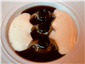 agnolotti with truffle sauce
